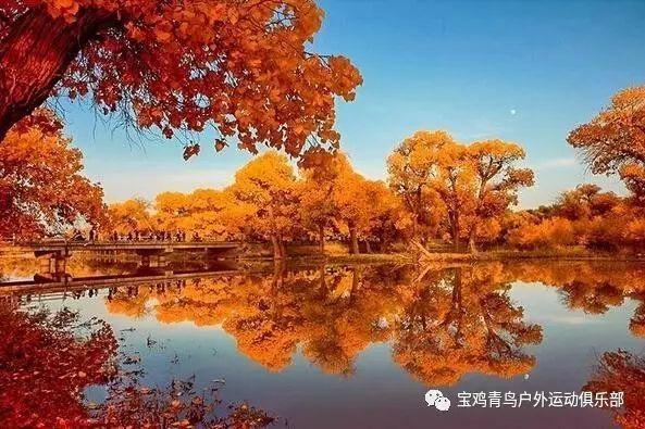 赛博朋克酒保行动