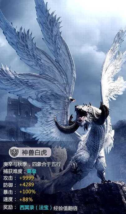 100公斤绞龙阀口单头包装机