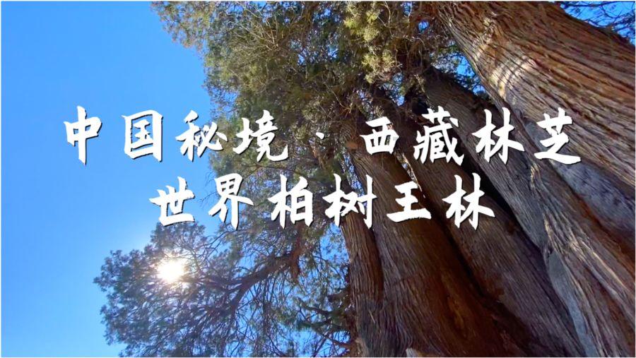 杨巡暴打李今,梁道林躲在国外,《大江大河3》隐藏了一些现实