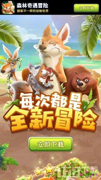 方寸之间见天地
